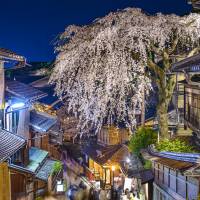 A cherry tree in full bloom adorns Sannenzaka street in Kyoto\'s Higashiyama Ward. The Japan Tourism Agency said Wednesday that in the first three months of 2017, an estimated 6,537,200 people visited Japan, up 13.6 percent on year. | ISTOCK