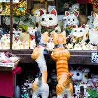 Paws for thought: Professor Kasuhiro Miyamoto of Kansai University estimates that merchandise about cats brings in about &yen;3 billion a year. | ISTOCK