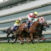 Reine Minoru comes home to win the Oka-sho on Sunday at Hanshin Racecourse in Takarazuka, Hyogo Pref. | KYODO