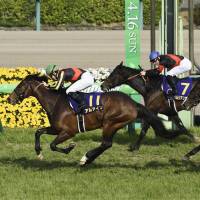 Al Ain comes home to win the Satsuki-sho on Sunday at Nakayama Racecourse. | KYODO