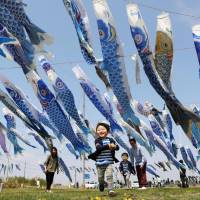 About 600 blue carp streamers, put up in memory of children killed in the March 2011 earthquake-triggered tsunami that devastated the Tohoku region, flap in the wind in Higashimatsushima, Miyagi Prefecture, on Saturday. Organizers have asked people to donate streamers so that children who died in the disaster \"will not feel lonely in heaven.\" | KYODO
