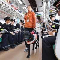 Officials of railway operator Keio Corp. participate in a seminar on guide dogs in Tokyo in December. A recent survey has shown many visually impaired people with guide dogs still face discrimination a year after a law to combat it came into effect. | KYODO