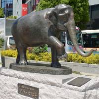 A statue of Hanako, a popular elephant that died at Inokashira Park Zoo last May at age 69, stands Friday in front of Kichijoji Station in Tokyo. | KYODO
