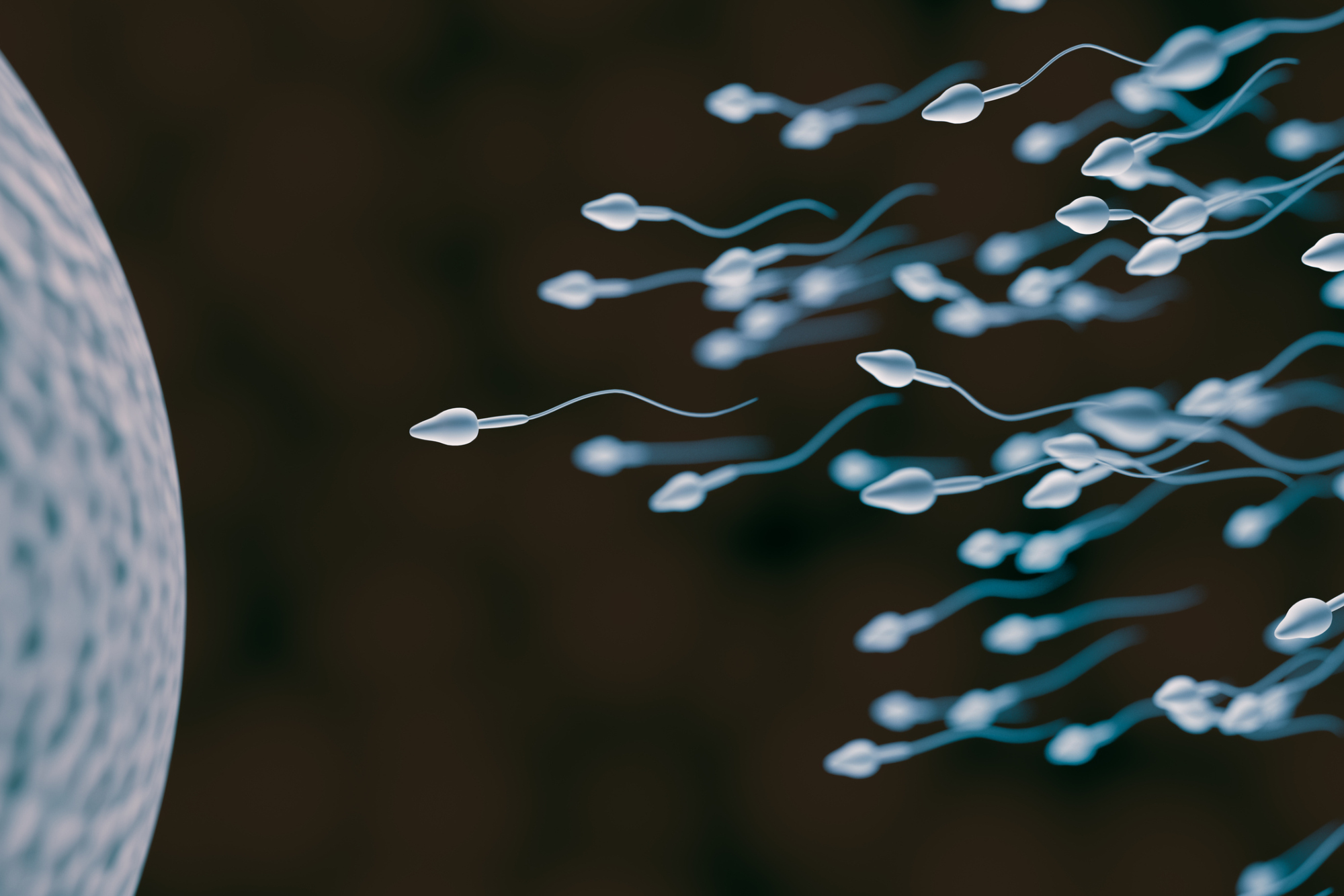 Research overseas has shown that semen quality has declined over the last several decades. | ISTOCK