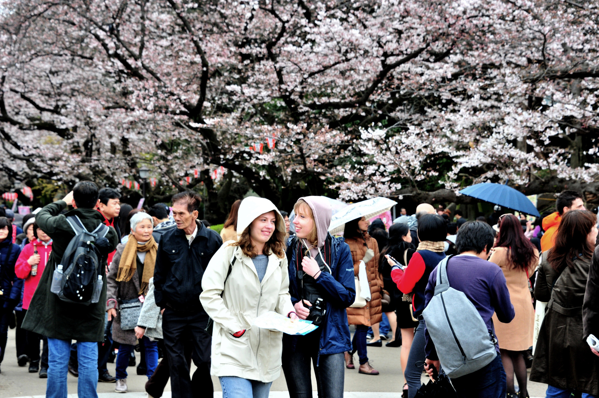 Αποτέλεσμα εικόνας για Japan shows record tourism