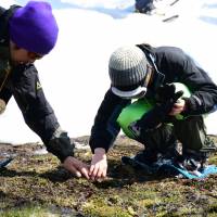 Sensing nature: A visually impaired child is guided in a program to experience the  wonders of nature at The Afan Woodland Trust. | COURTESY OF THE AFAN WOODLAND TRUST