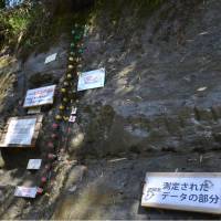 The stratum on a cliff in Ichihara, Chiba Prefecture, that is seen in this photo taken in April has a horizontal line showing that north and south magnetic poles switched 770,000 years ago. | KYODO