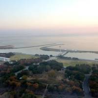 The wetland in Kasai Rinkai Park in Tokyo\'s Edogawa Ward is reportedly being pitched for the Ramsar Convention. | KYODO