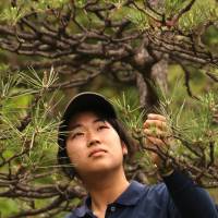 Looking sharp: Newly minted professional gardener Norie Watanabe gives full attention to a pine at Mejiro Teien. | KIT NAGAMURA