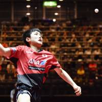 Tomokazu Harimoto prepares to hit the ball during his match against Lubomir Pistej at the World Table Tennis Championships on Saturday in Dusseldorf, Germany. | KYODO