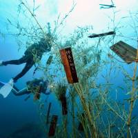 A pair of divers decorate bamboo trees with wooden plaques inscribed with their wishes some 15 meters below the water\'s surface off the coast of Kushimoto, Wakayama Prefecture, ahead of the July 7 Tanabata festival. | KYODO