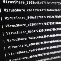 A list of viruses at the LHS (High Security Laboratory) of the INRIA (National Institute for Research in Computer Science and Automation) in Rennes, France, is displayed on a screen. U.S. warns businesses of hacking campaign against nuclear, energy firms