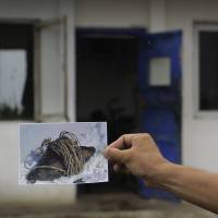 Maj. Jong Il Hyon, 44, a member of a bomb squad for South Hamgyong, holds up a photograph Friday in Hamju county, North Korea, of an unexploded bomb found near the railway that runs through Hamhung from Pyongyang to the northeastern port of Chongjin. North Korea is just one of many countries still dealing with the explosive legacy of major wars. But the three-year Korean War, which ended in what was supposed to be a temporary armistice on July 27, 1953, was one of the most brutal ever fought. North Koreans still digging up deadly, mainly U.S., ordnance 64 years after guns fell silent