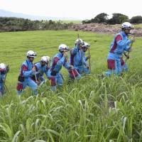 Police officers search through tall grass for missing people in Asakura, Fukuoka Prefecture, on Monday. Evacuation orders were issued to some 16,000 residents in about 5,900 households in the city and in the village of Toho, both in Fukuoka Prefecture, due to the possibility of more heavy rain. | KYODO