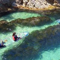 Visitors enjoy paddling in transparent kayaks off the coast of Tottori Prefecture. | TOTTORI PREFECTURE NATURE EXPERIENCE SCHOOL / VIA KYODO