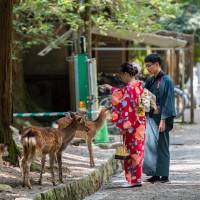 Nara is struggling with creating a transportation and hospitality infrastructure that can deal with an ever-increasing number of tourists. Depopulation, tourism on voters' minds as Nara gears up for mayoral election