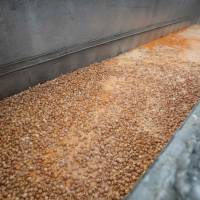Eggs are destroyed at a chicken farm in Nadrin, Houffalize, Belgium, on Wednesday. Dutch and Belgian investigators launched joint raids on Thursday over Europe\'s insecticide-tainted egg scare as Britain said it had imported far more contaminated eggs than originally revealed. | KOEN BLANCKAERT / BELGA / VIA AFP-JIJI