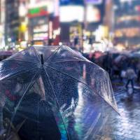 A supermarket chain based in the Tokyo metropolitan area said sales have fallen 7 percent for ice cream and 10 percent to 20 percent for cold noodles in the first half of August. Cool, soggy summer curtails leisure-based profits in Tokyo