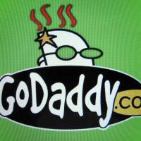 The logo for internet company GoDaddy inc, is shown on a computer screen in this illustration photo in Encinitas, California, in 2016. | REUTERS