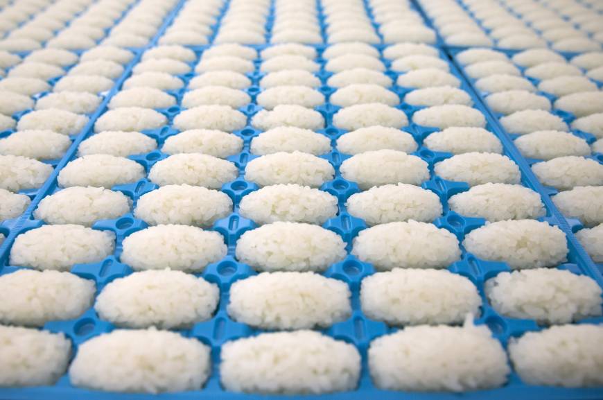 Sushi rice produced by a Suzumo Machinery Co. sit in mold trays during a demonstration at the company