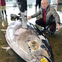 Pacific bluefin tuna is auctioned at a market in Nachikatsuura, Wakayama Prefecture, in March. Japan again calls for emergency restrictions on Pacific tuna catches