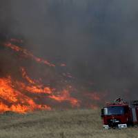 Flames rise as a firefighter pulls a hose from a firetruck during a wildfire near the village of Metochi, north of Athens Monday. | REUTERS