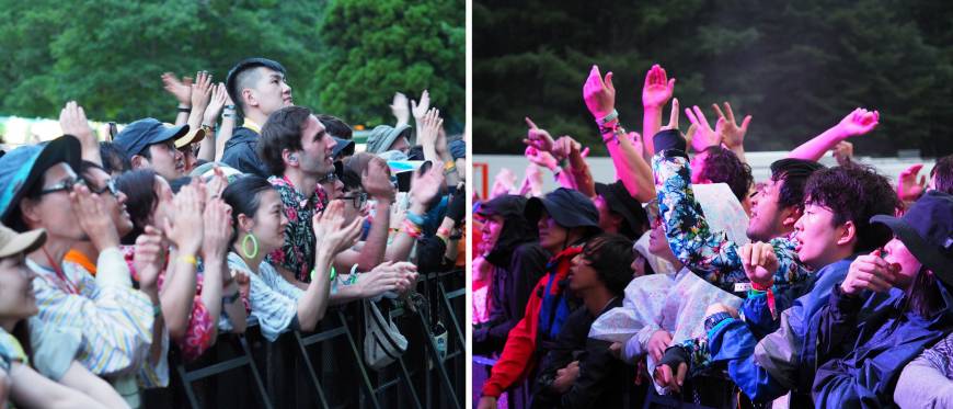 Your Fuji Rock