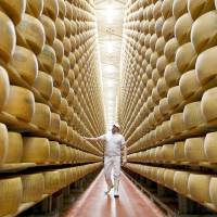 A worker inspects wheels of Parmigiano Reggiano cheese at a storehouse in Modena, Italy, in February 2016. Some Japanese brand legacies stand to profit from geographical indication; others, not so much