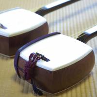 Shamisen instrument maker Komatsuya Ltd. in Sagamihara, Kanagawa Prefecture, has developed a synthetic substitute for the cat and dog skins long used to make the traditional three-stringed instrument. After 13-year quest, shamisen maker sheds animal skin in favor of synthetic