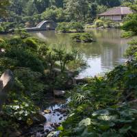All in one: Hiroshima\'s Shukkei-en skillfully combines formal landscaping and naturalism. | STEPHEN MANSFIELD