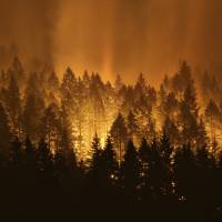 The Eagle Creek wildfire burns on the Oregon side of the Columbia River Gorge near Cascade Locks, Oregon, Sept.. 5. Wildfires that have blackened more than thousands of square miles across the American West have also ignited calls, including from Interior Secretary Ryan Zinke, for thinning of forests that have become so choked with trees that they’re at “powder keg levels.” U.S. Forest Service wildfire tab tops record $2 billion and blazes continue to rage