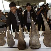 Customs officers display seized rhino horns during a news conference at Suvarnabhumi Airport in Bangkok in March. To fight wildlife crime, experts say 'follow the money'