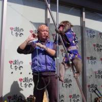 Jubei, a 26-year-old Japanese macaque, walks on stilts as his trainer, Yasutaka Kawabe, calls out instructions at a recent show in Seto, Aichi Prefecture. Seto man and his snow monkey entertain audiences for 23 years and counting