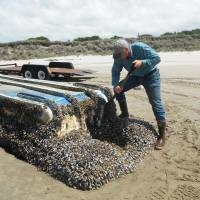 Researcher John Chapman inspects a Japanese vessel that washed ashore on Long Beach, Washington. On Thursday, researchers reported nearly 300 species of fish, mussels and other sea creatures hitchhiked across the Pacific Ocean on debris from the 2011 Japanese tsunami, washing ashore alive in the United States. Helped by plastic items, some 300 species of sea critters hitchhiked across Pacific on 2011 tsunami debris