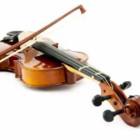 The estranged wife of a former violin maker accused of damaging 54 of his instruments told her then husband she would “destroy the violins if he did not pay” the amount she demanded to raise their two children, according to prosecutors in the Nagoya. Money dispute said to have led wife to break husband's 54 violins