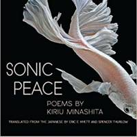 'Sonic Peace': Troubling poetry about the modern world