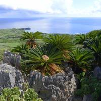 Remote vistas: A view of Hedo Misaki, the extremity of mainland Okinawa, from the heights of Daisekirinzan. Northern exposure: Discovering silence in Okinawa