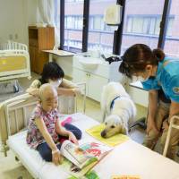 Furry friends: Shine On! Kids’ Facility Dog Program is the first of its kind in Japan. Specially trained canines work full-time at children’s hospitals under the initiative. Shine On! works its animal magic on kids facing tough times