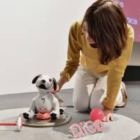 A woman strokes an Aibo robot during a media event at Sony Corp’s headquarters in Tokyo on Wednesday. Sony’s new robot dog will be available from January. Sony's Aibo makes a comeback: There's life in the old dog yet
