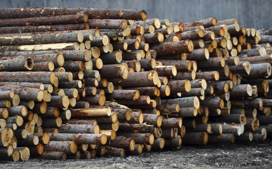Lumber options trading