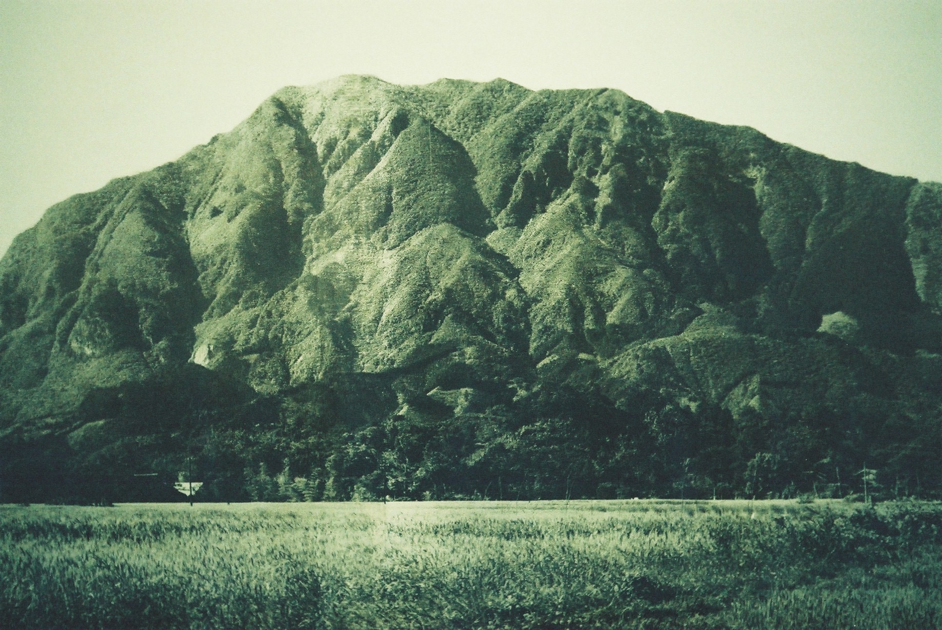 Jobs battle environment on sacred but scarred Mount Buko | The 