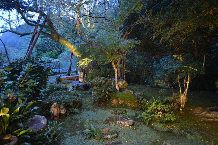 A garden for all seasons: Maple trees and a cherry tree fan out over moss beds at Kerr