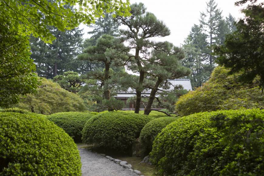 Walking through the Portland Japanese Garden in Oregon sometimes feels like walking among clouds.