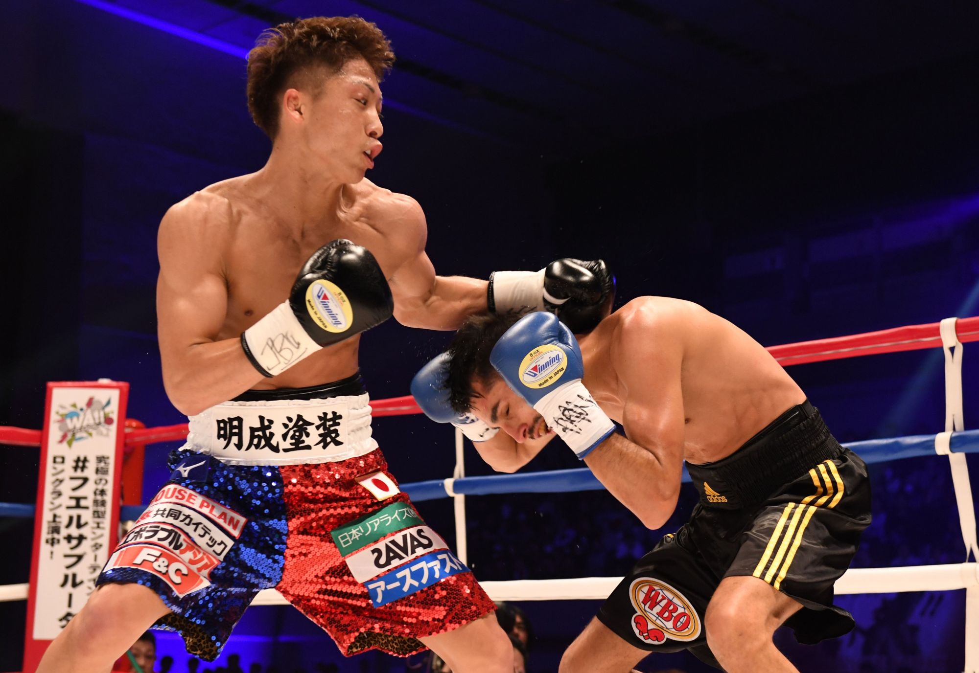 naoya inoue titles