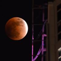 The rare ‘super blue blood moon’ is seen over Tokyo Tower in the capital’s Minato Ward at 9:54 p.m. on Wednesday. Rare 'lunar trifecta' battles cloud cover to make appearance in night skies over Japan