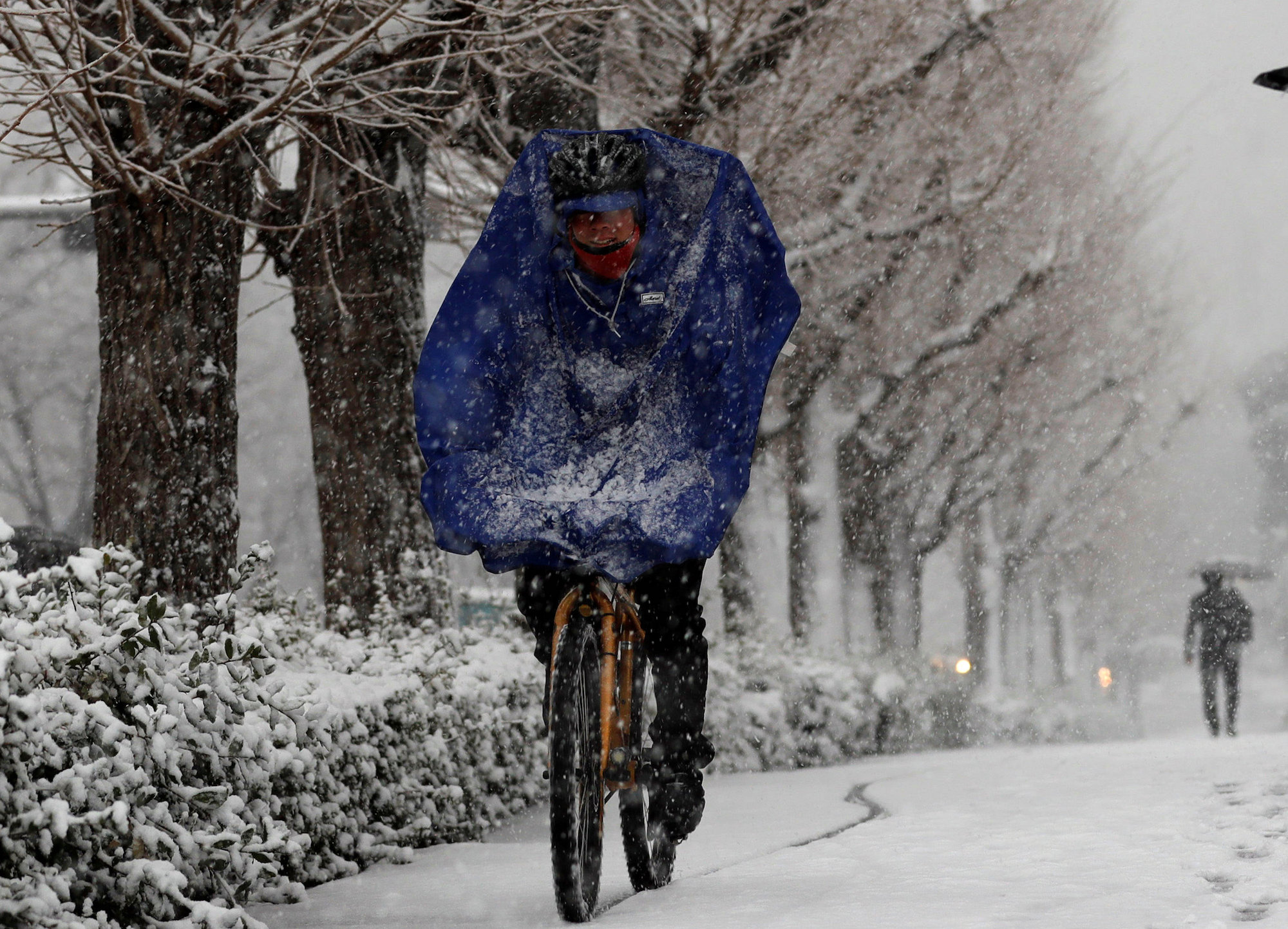 Tokyo hit by heaviest snow since 2014 The Japan Times