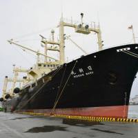 The Nisshin Maru, the lead vessel in Japan’s “research whaling” fleet, is docked at a port in Shimonoseki, Yamaguchi Prefecture, last March. The Fisheries Agency is considering upgrading the 30-year-old ship. Japan seeks upgrades to whaling 'mother ship' in latest signal that hunts will continue