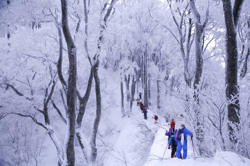 Snowshoeing allows access to some of Mount Daisen
