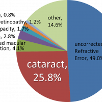 Figure 1: Causes of Visual Impairment Worldwide (2015). Source: IAPB.