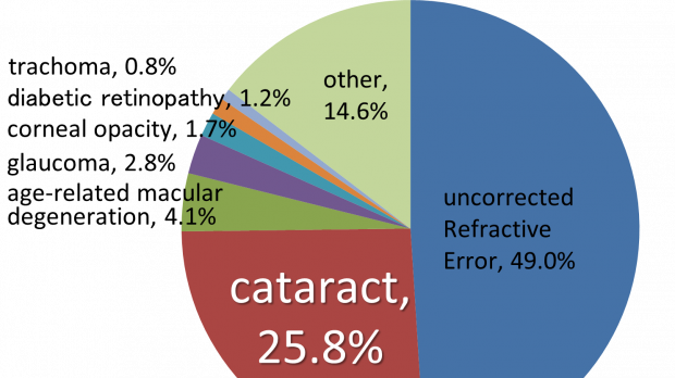 Figure 1: Causes of Visual Impairment Worldwide (2015). Source: IAPB. Rohto Pharmaceutical to join in the launch of Alina Vision<br />
Contributing to Society with a Unique Business Model<br />
Expand a “business model with free cataract treatment” to the world